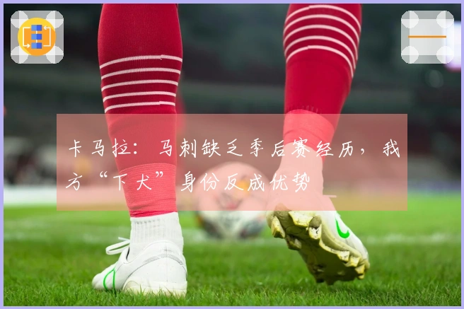 卡马拉：马刺缺乏季后赛经历，我方“下犬”身份反成优势