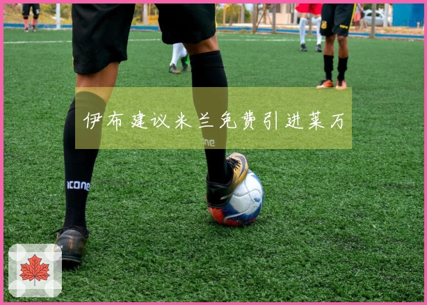 伊布建议米兰免费引进莱万