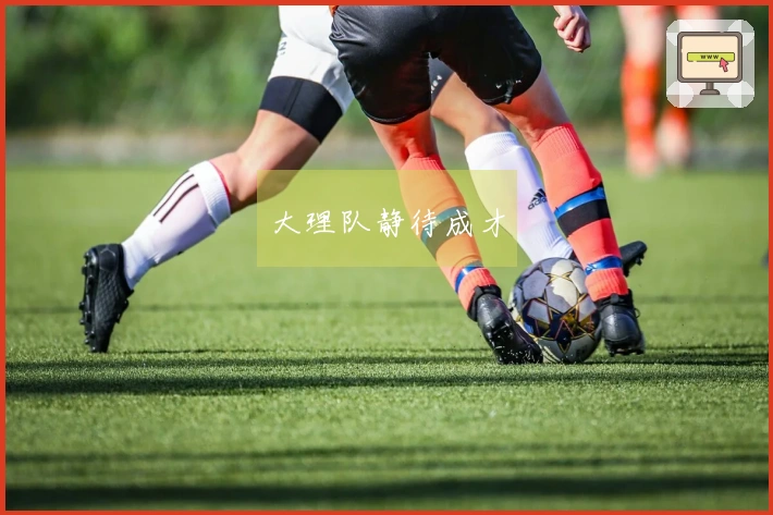 大理队静待成才